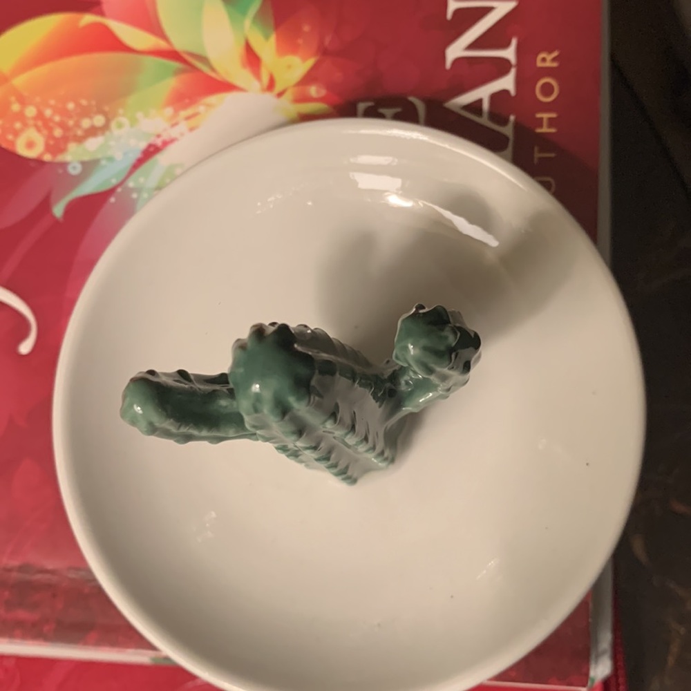 Cactus ring dish - Picture 2 of 4
